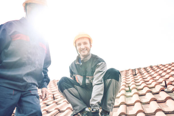 Omar - dakwerkzaamheden